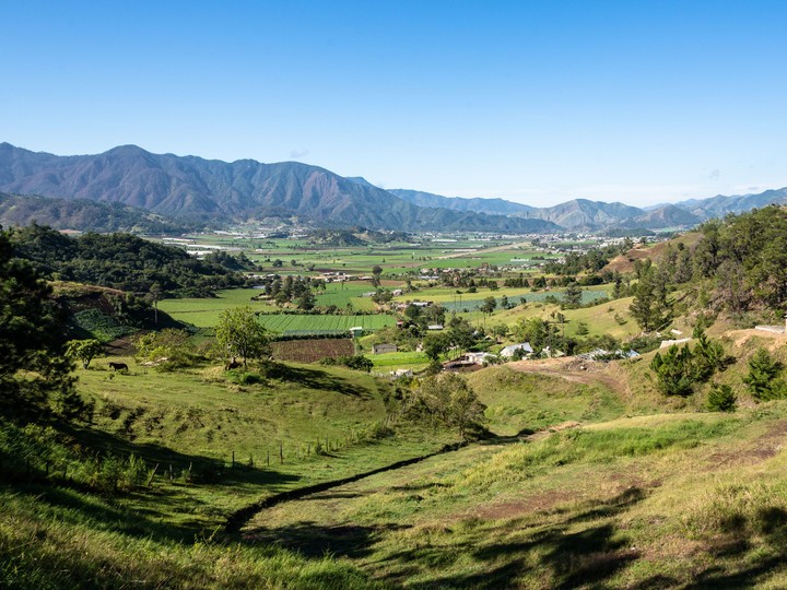 Constanza