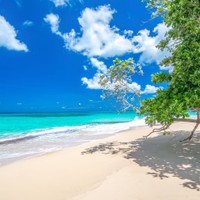 Las Terrenas