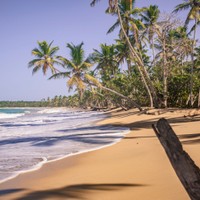 Playa Limon