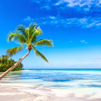 Saona