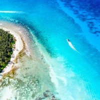 Saona