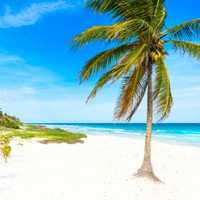 Costa Maya