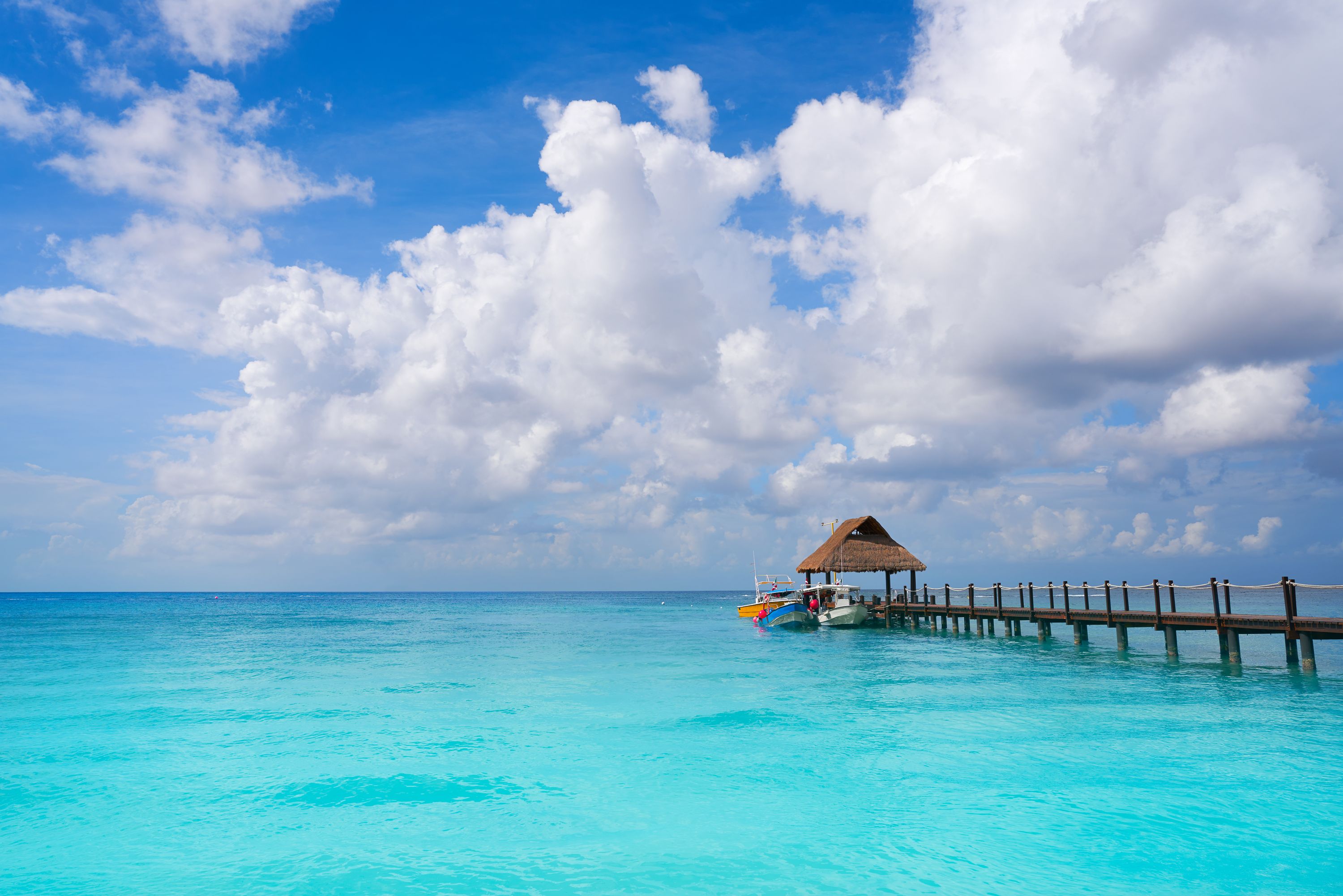 Cozumel w pigułce. Meksykańska rafa koralowa.