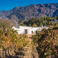 Cafayate