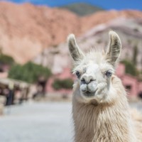 Quebrada de Humahuaca
