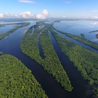 Amazonia