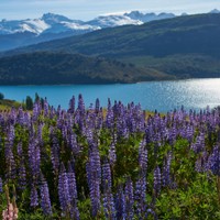 Lago General Carrera