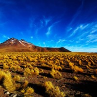 San Pedro de Atacama