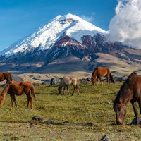 Cotopaxi