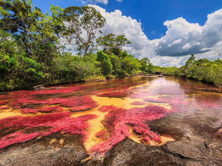 Cano Cristales
