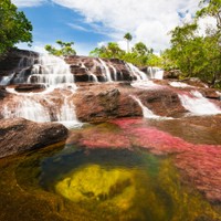 Cano Cristales