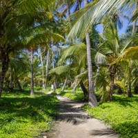 Tayrona