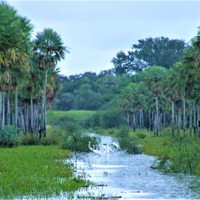 Chaco