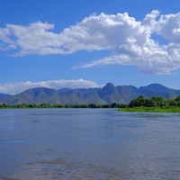Paraguayo Pantanal
