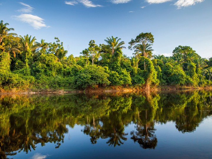 Surinam