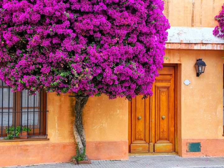 colonia del sacramento