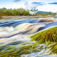 Canaima