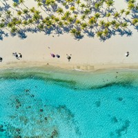 Morrocoy