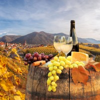 Wachau