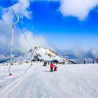 Borowec