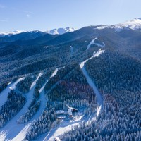 Borowec