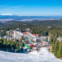 Borowec