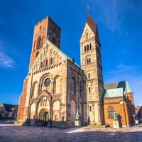 Ribe