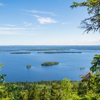 Koli
