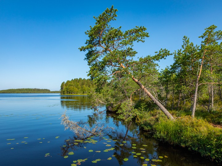 Kurjenrahka
