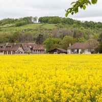Giverny
