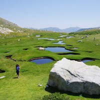 Korsyka