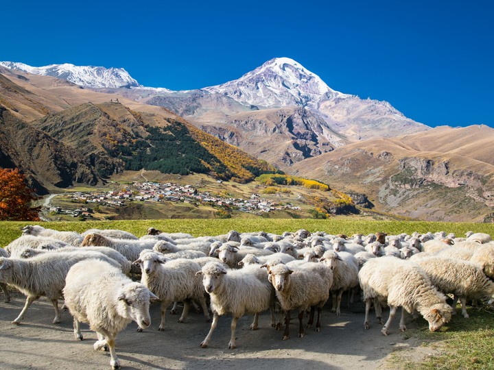 Kazbegi