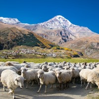 Kazbegi
