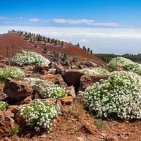 Gran Canaria Pico de las Nieves