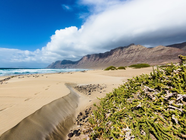 Lanzarote Playa de Famara