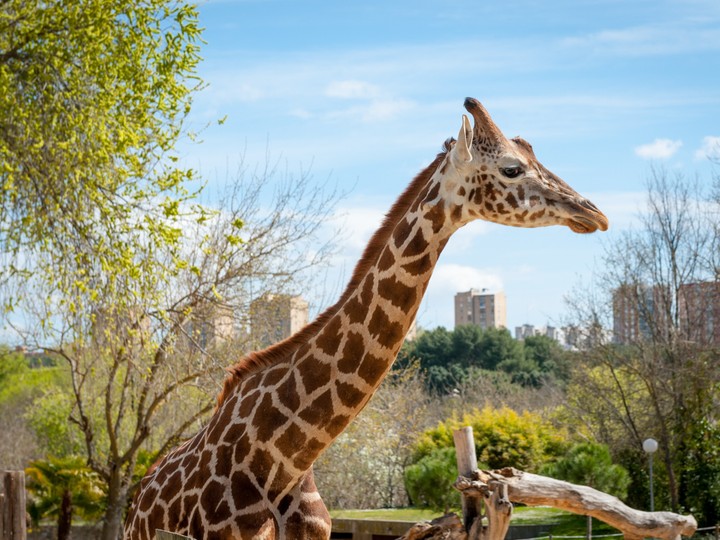 ZOO Aquarium de Madrid