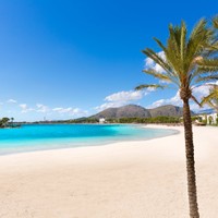 Playa de Alcudia, Majorka