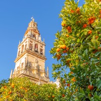 La Giralda Sewilla