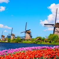 Rotterdam poza szlakiem