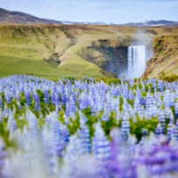 Skogafoss