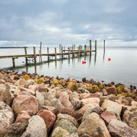 Amrum