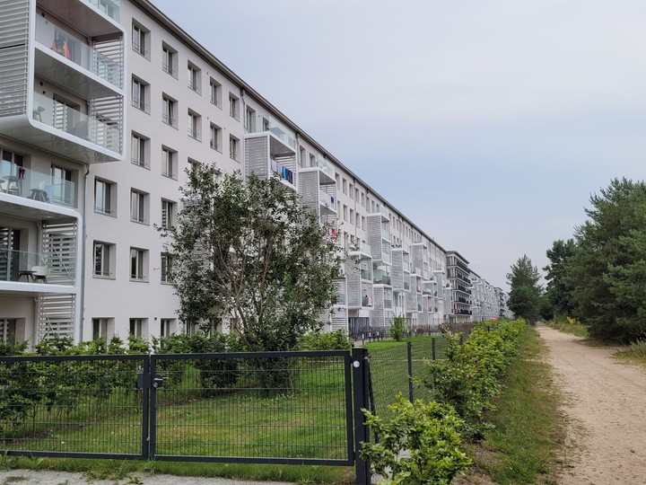 Rugia