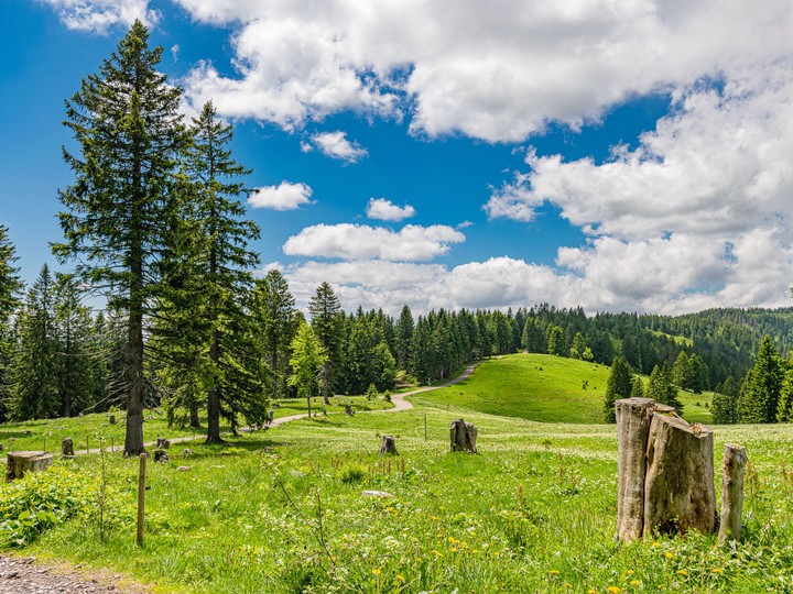 Schwarzwald, Niemcy