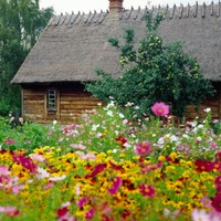 Kaszuby