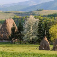 Apuseni
