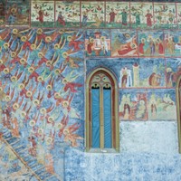 Sucevita