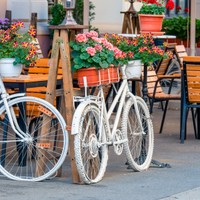 Timisoara