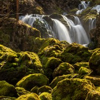 Bohinj