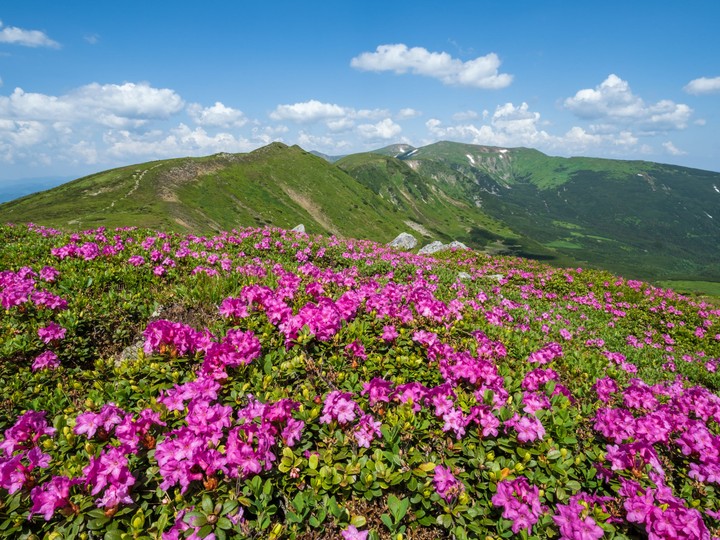 Czarnohora Ukraina