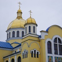 Żółkiew